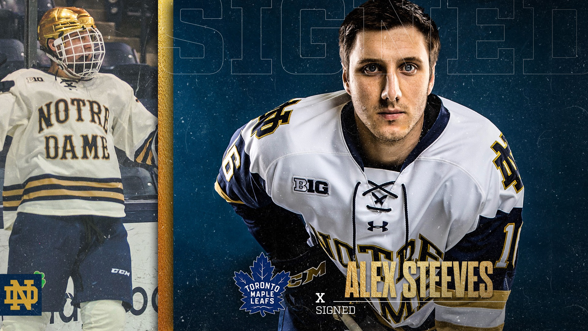 Steeves Signs With The Toronto Maple Leafs Steeves Signs With The Toronto Maple Leafs