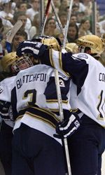 Notre Dame's seven incoming recruits for the fall of 2007 have been ranked by NHL Central Scouting's final list prior to the June Entry Draft.