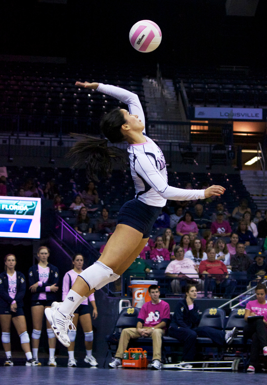 Senior Day On Tap For Volleyball’s Final Home Weekend Senior Frenchy Silva