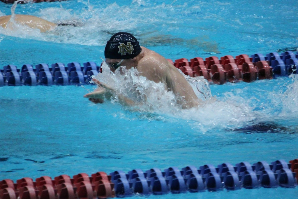 2013 BIG EAST Swimming Championships