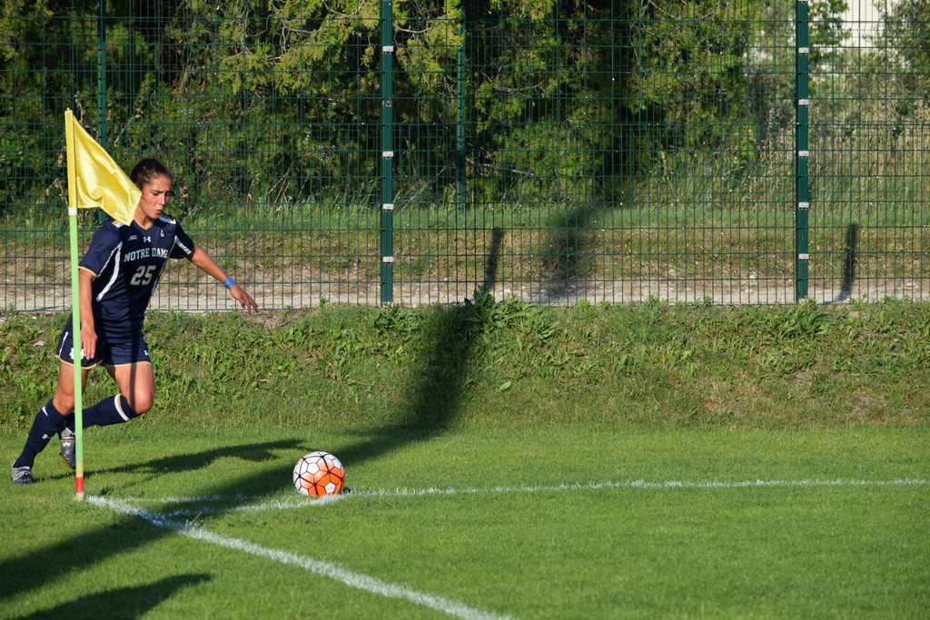 Irish Abroad in France: Avignon