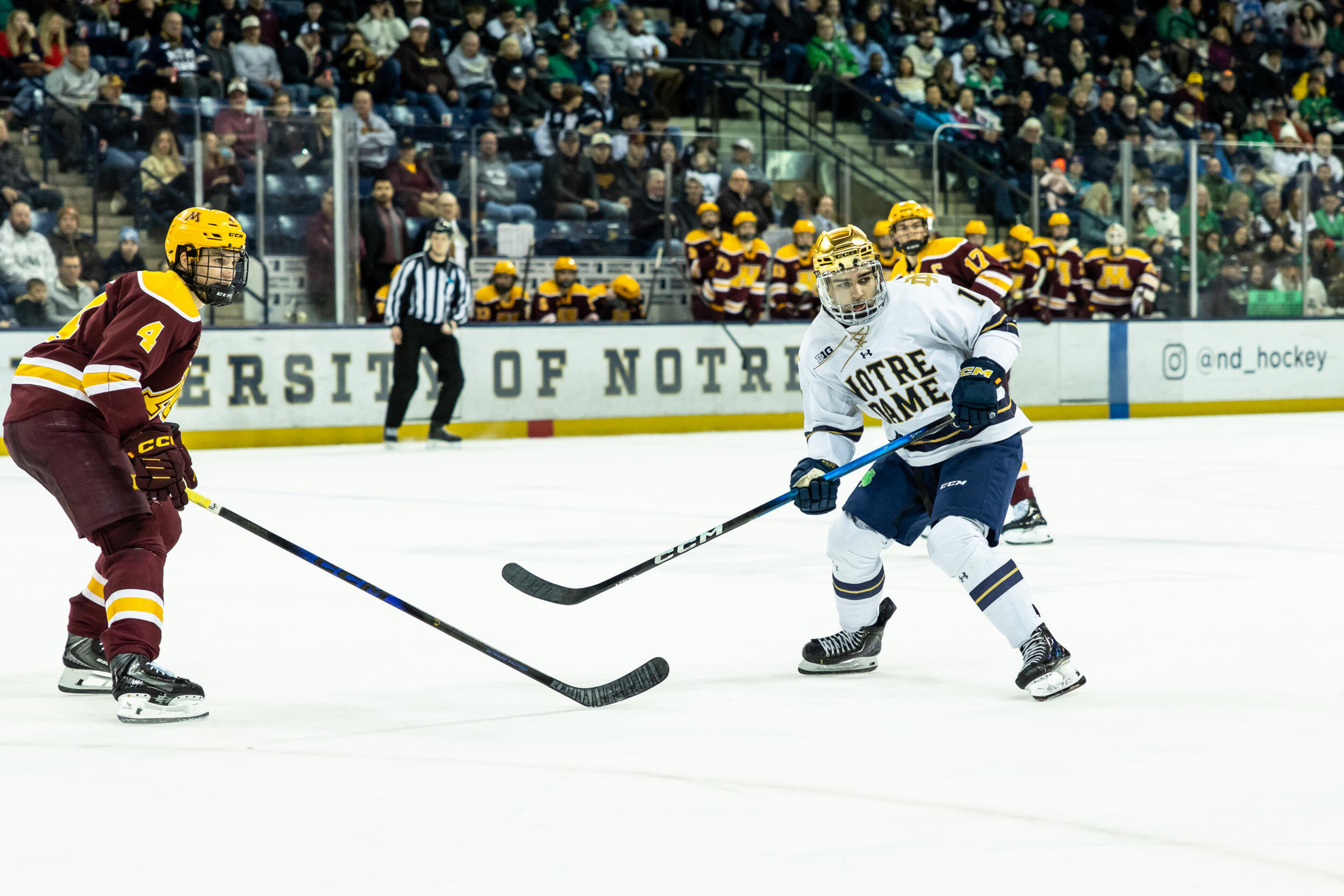 Hockey Battles To 2-2 Tie With Minnesota Hockey Battles To 2-2 Tie With Minnesota