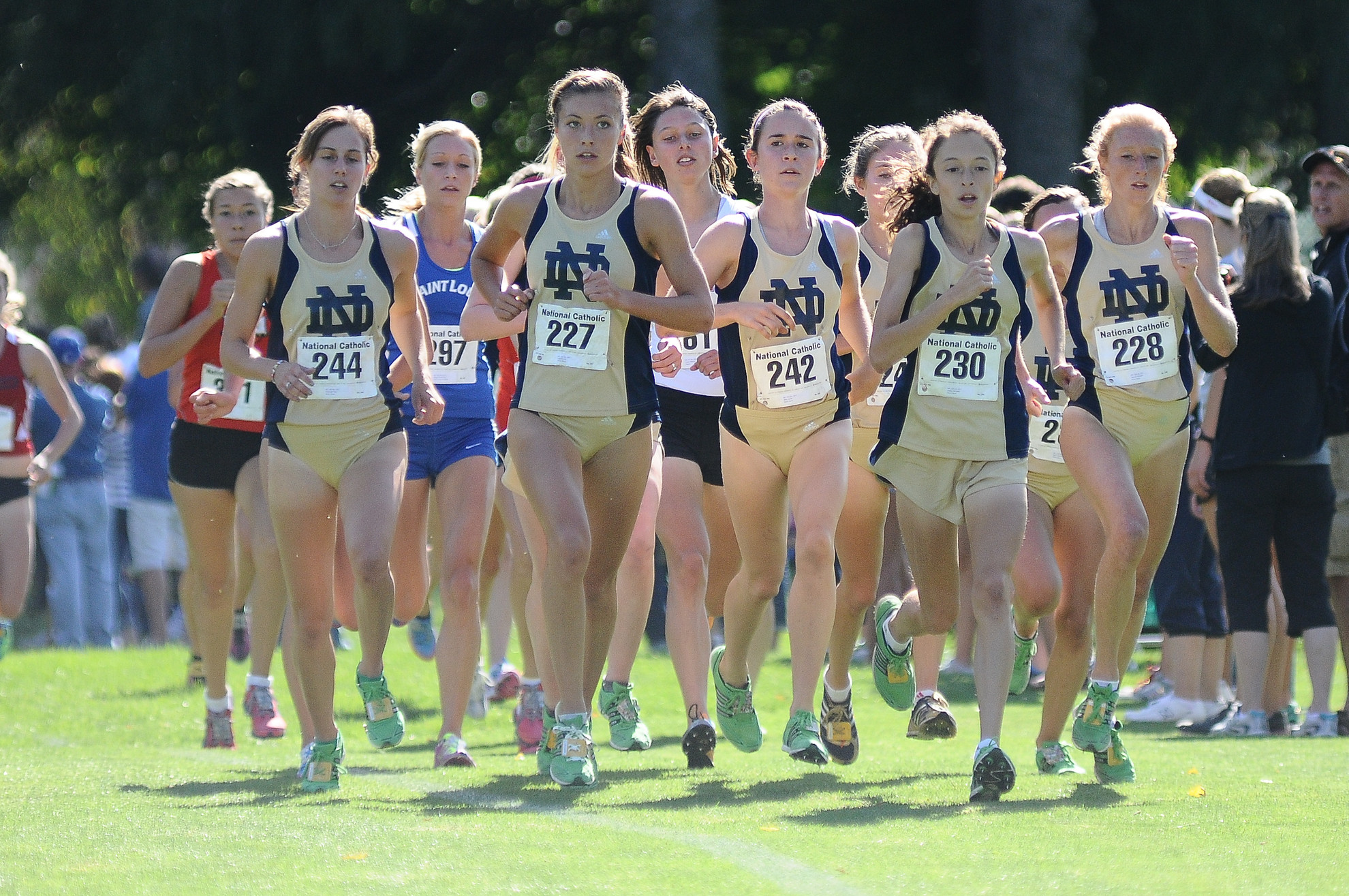Cross Country And Track And Field Squads Earn Elite NCAA Academic Award The Notre Dame cross country programs each received academic awards from the NCAA recently.