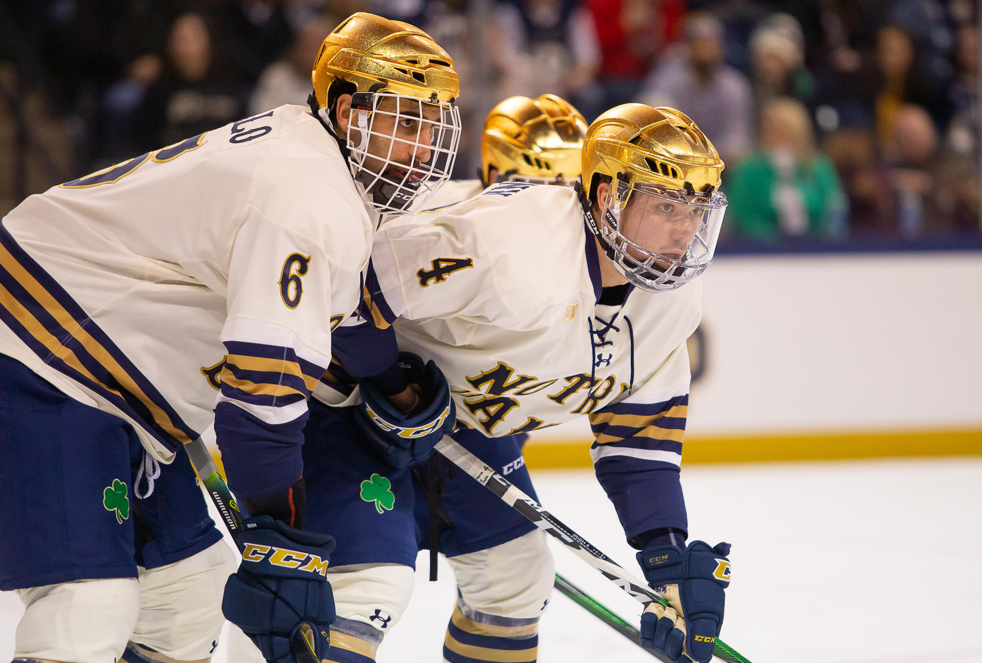 #3/4 Irish Set To Meet Badgers in Madison #3/4 Irish Set To Meet Badgers in Madison