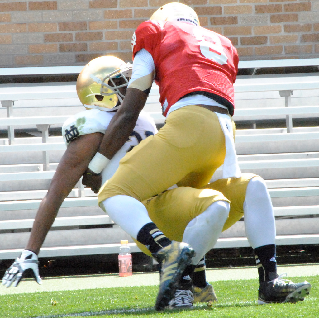 Notre Dame Football Blue-Gold Game