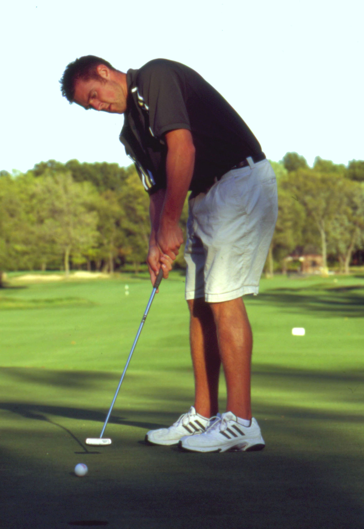 Steve Colnitis Named Assistant Men’s Golf Coach Steve Colnitis, a member of the Notre Dame men's golf team from 2001-05, has been named the new assistant coach for the Irish, head coach Jim Kubinski announced Wednesday.