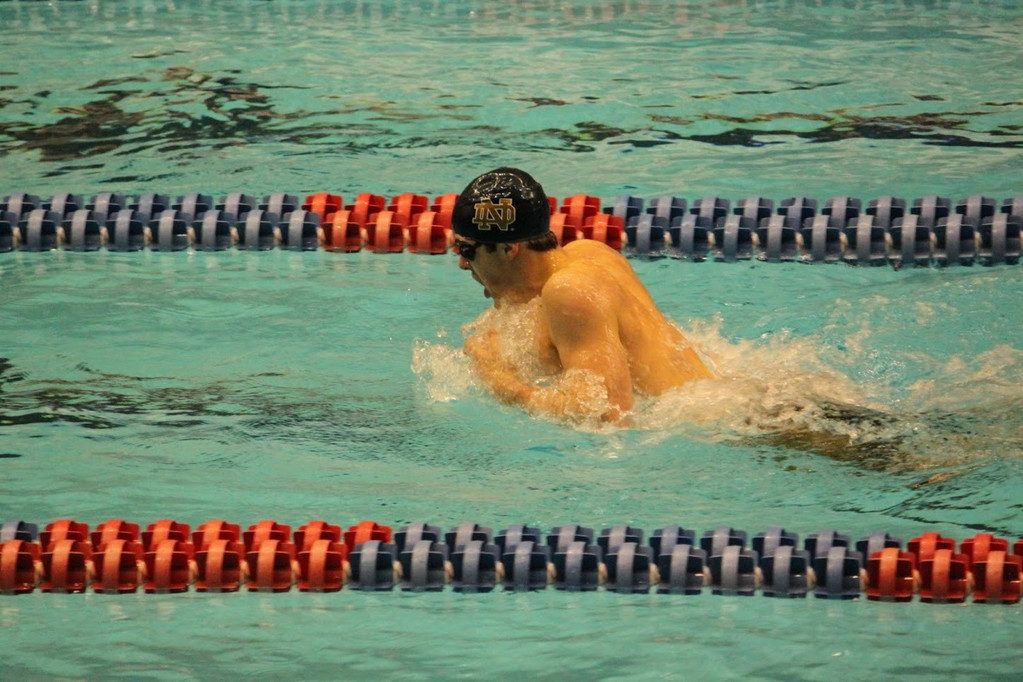 2013 BIG EAST Swimming Championships