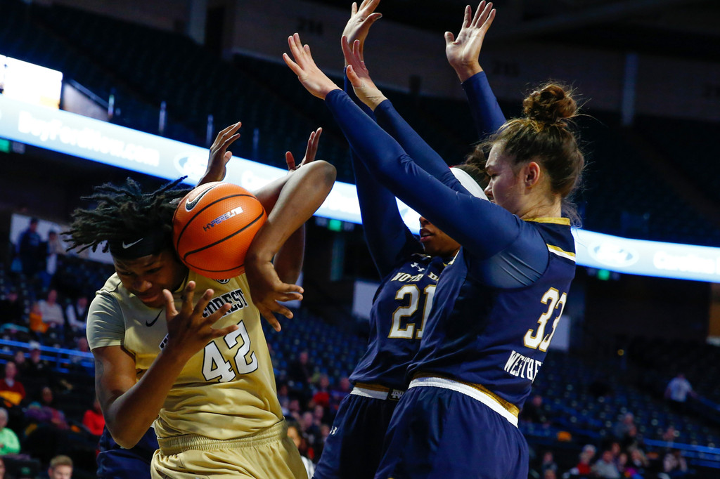 ND WBB vs. Wake Forest (USATSI)