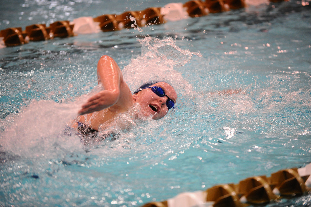 Shamrock Invitational - Jan. 31 - Feb. 1, 2014