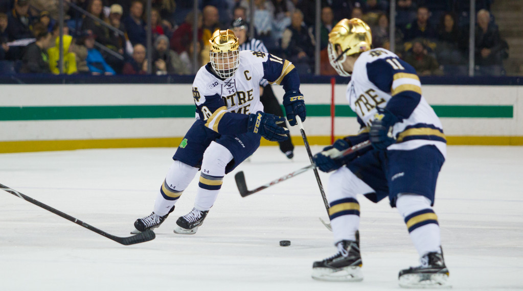 Notre Dame vs. Minnesota (Nov. 24, 2017)