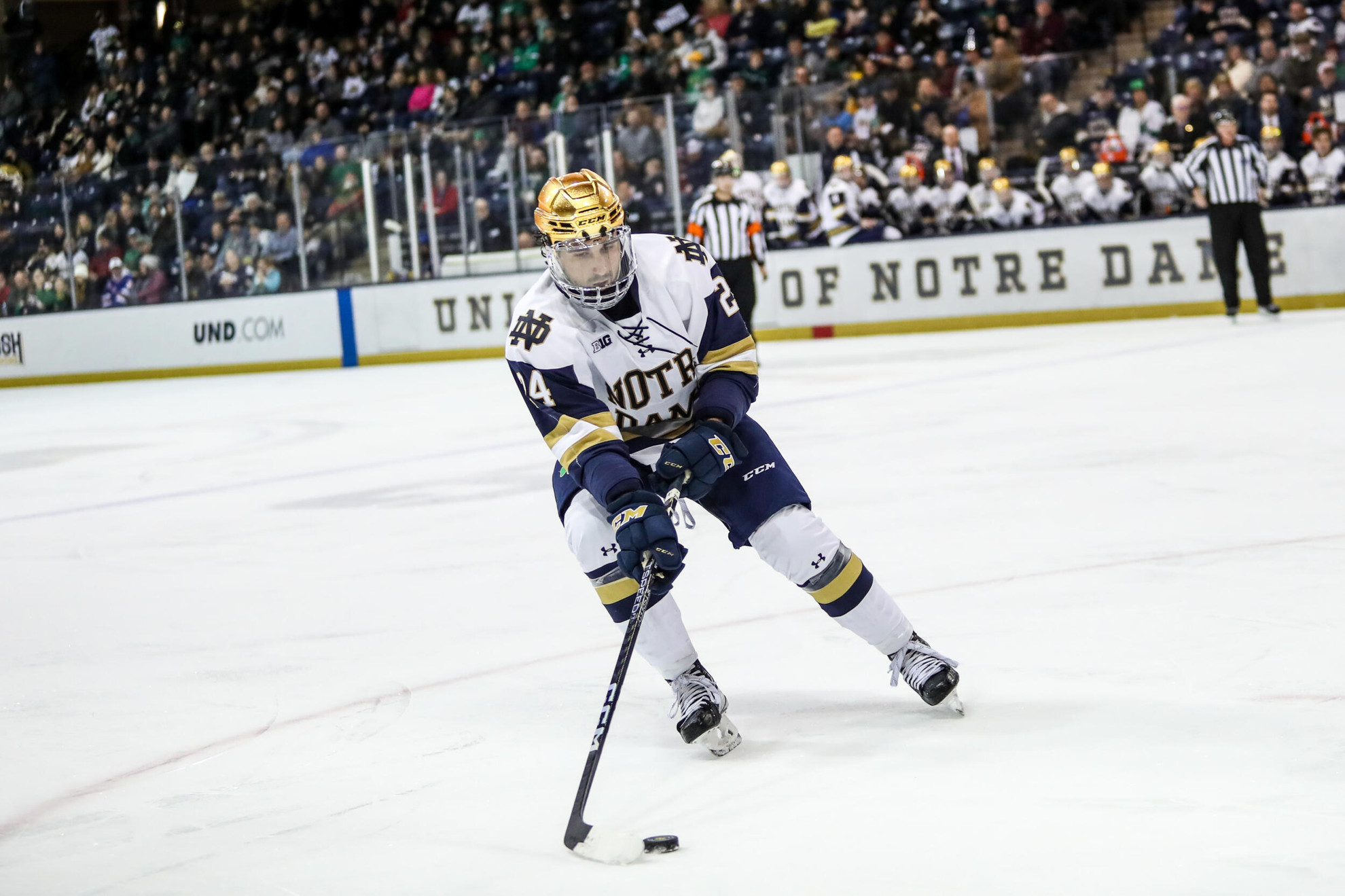 Bavaro Named First Star Bavaro Named First Star