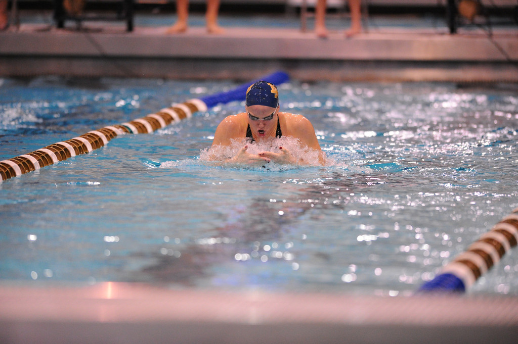 Shamrock Invitational - Jan. 31 - Feb. 1, 2014