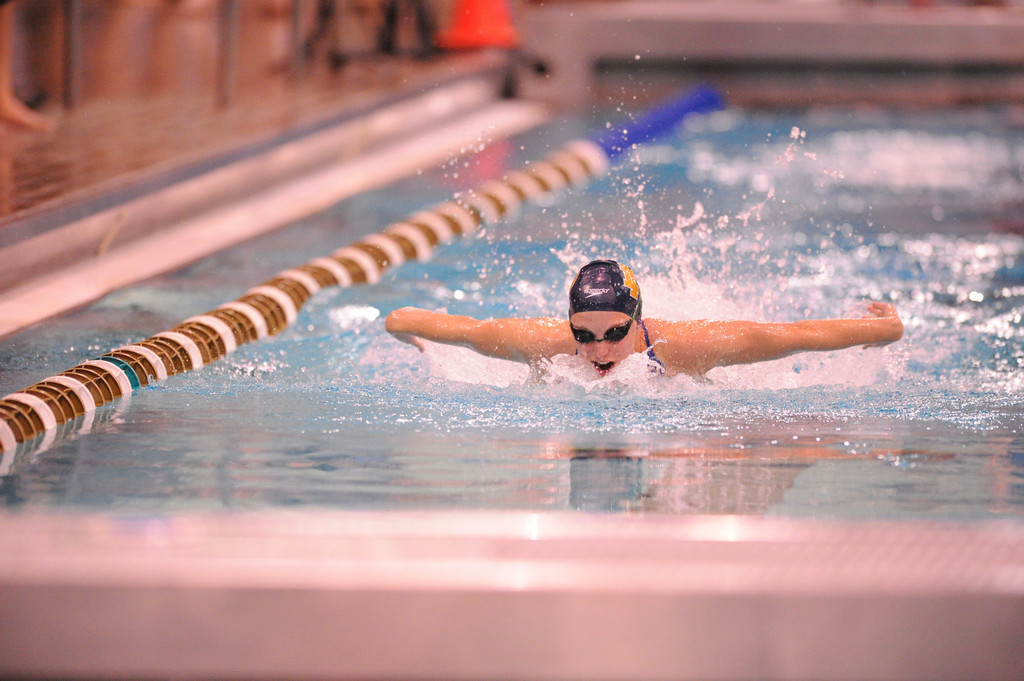 Shamrock Invitational - Jan. 31 - Feb. 1, 2014