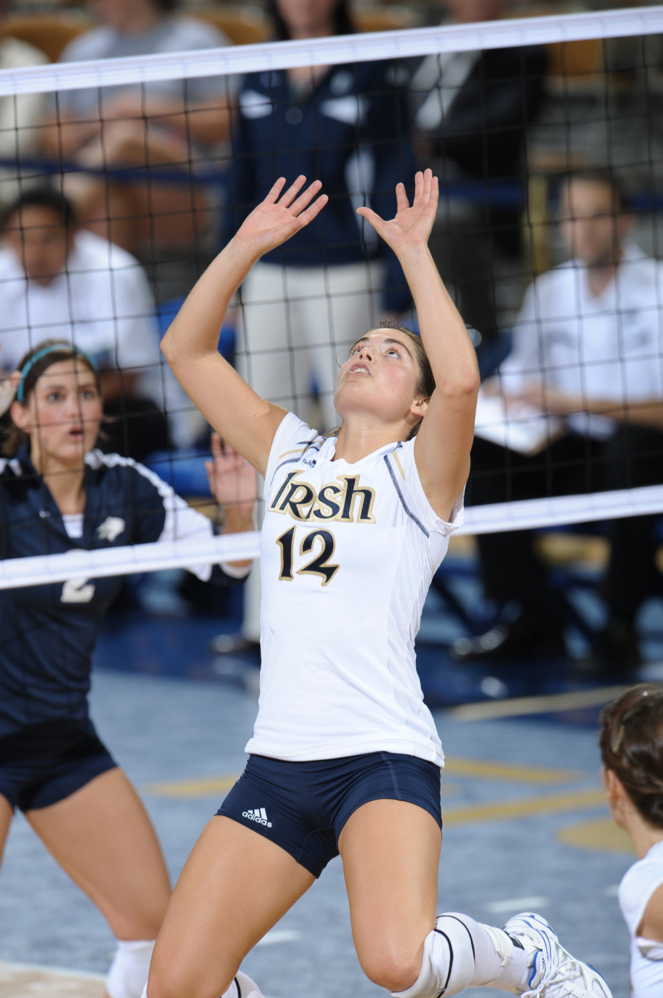 Fighting Irish To Face Stacked Field At Diet Coke Classic Setter Jamel Nicholas eclipsed the 1,000 career assist mark during last weeks Idaho Volleyball Classic.