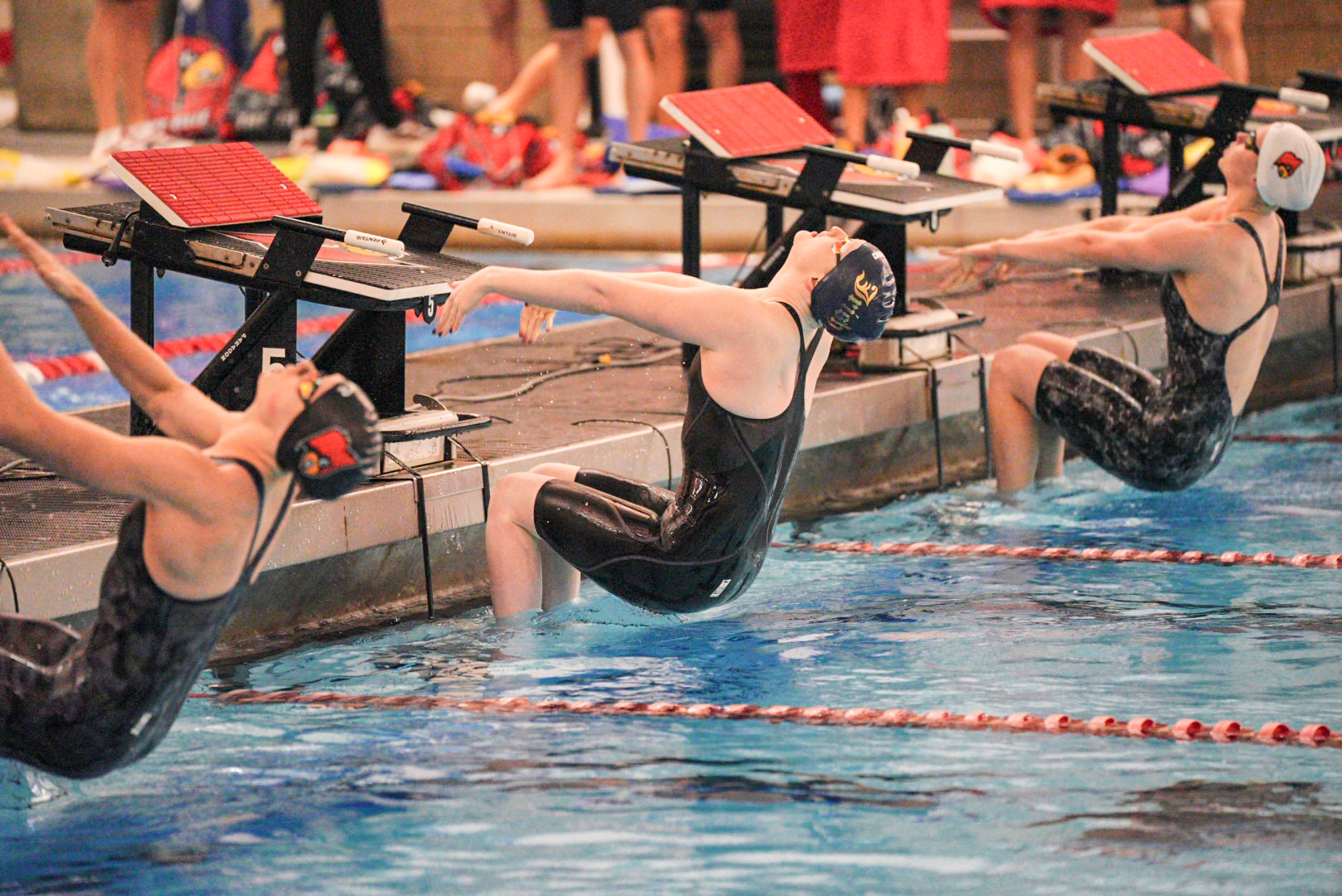 Notre Dame Falls To Louisville In Dual Meets Notre Dame Falls To Louisville In Dual Meets