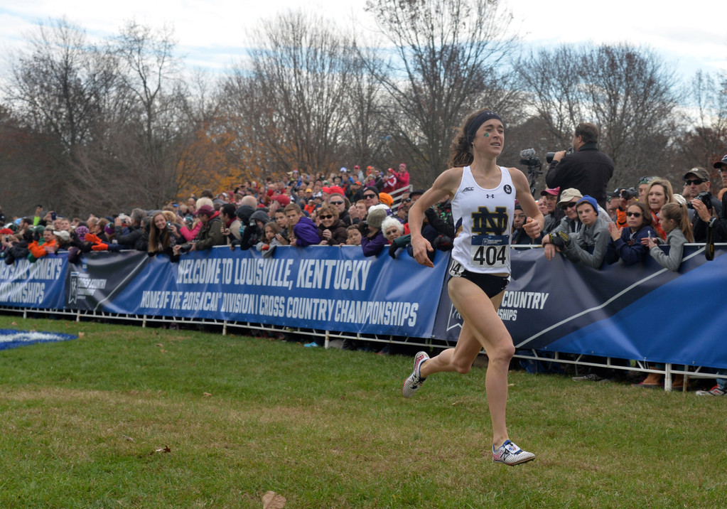 2015 NCAA Cross Country Championships