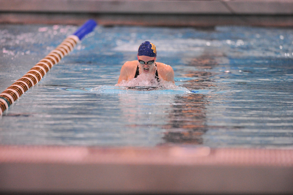 Shamrock Invitational - Jan. 31 - Feb. 1, 2014