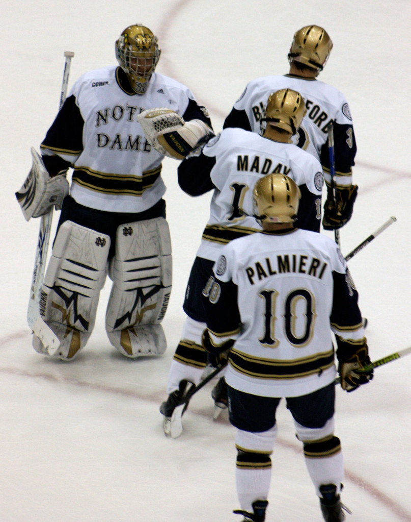 Men's Hockey vs. Michigan