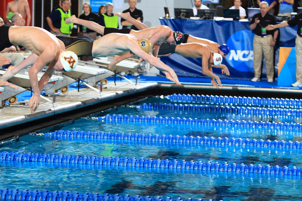 Men's NCAA Swimming Championship
