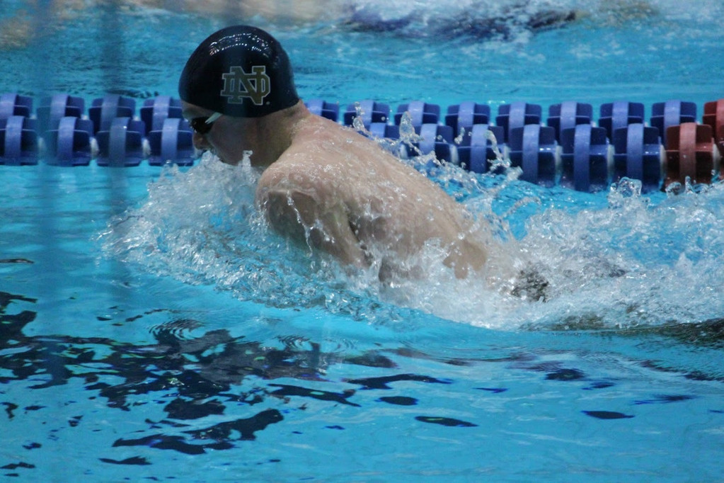 2013 BIG EAST Swimming Championships