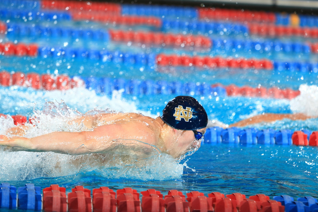Men's NCAA Swimming Championship
