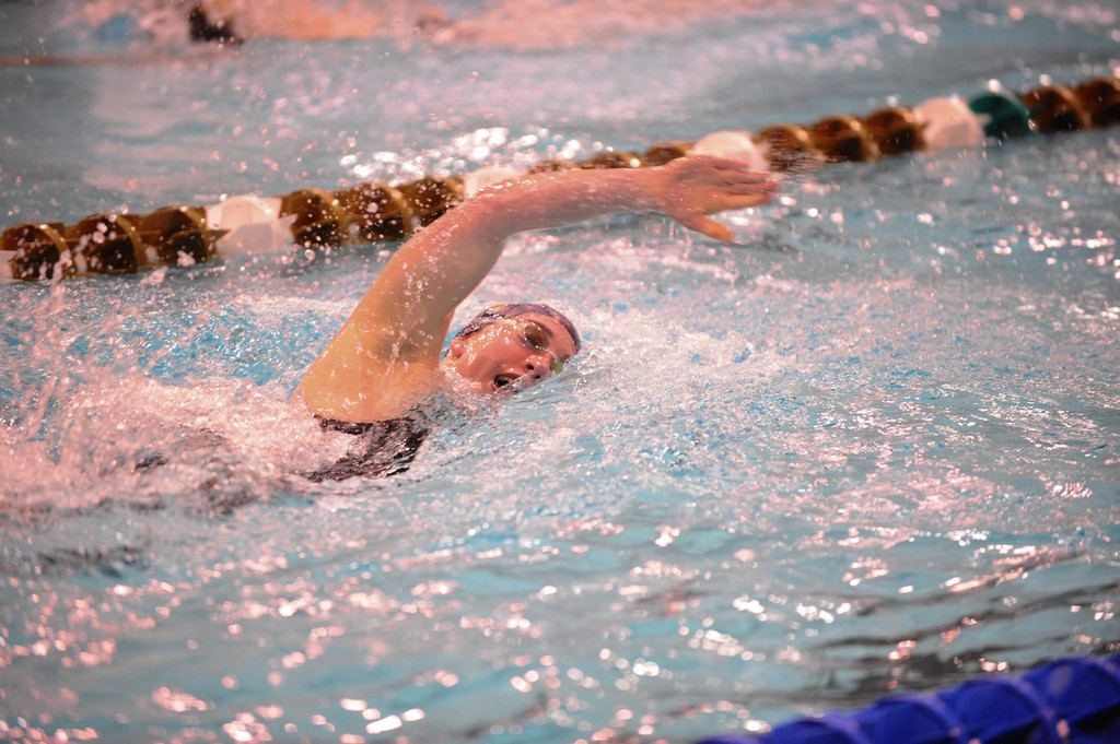 Shamrock Invitational - Jan. 31 - Feb. 1, 2014