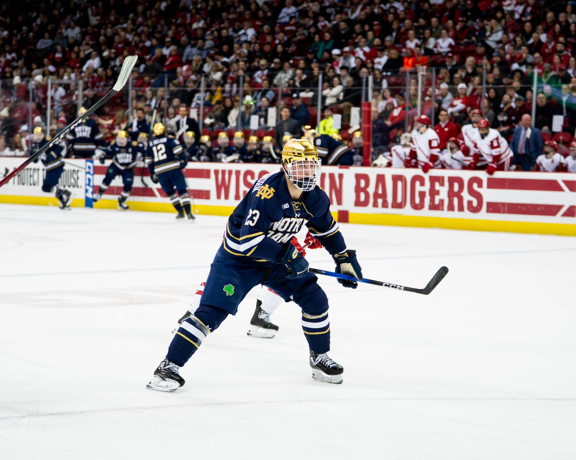 Hockey Falls At #13/11 Wisconsin, 5-4 Hockey Falls At #13/11 Wisconsin, 5-4