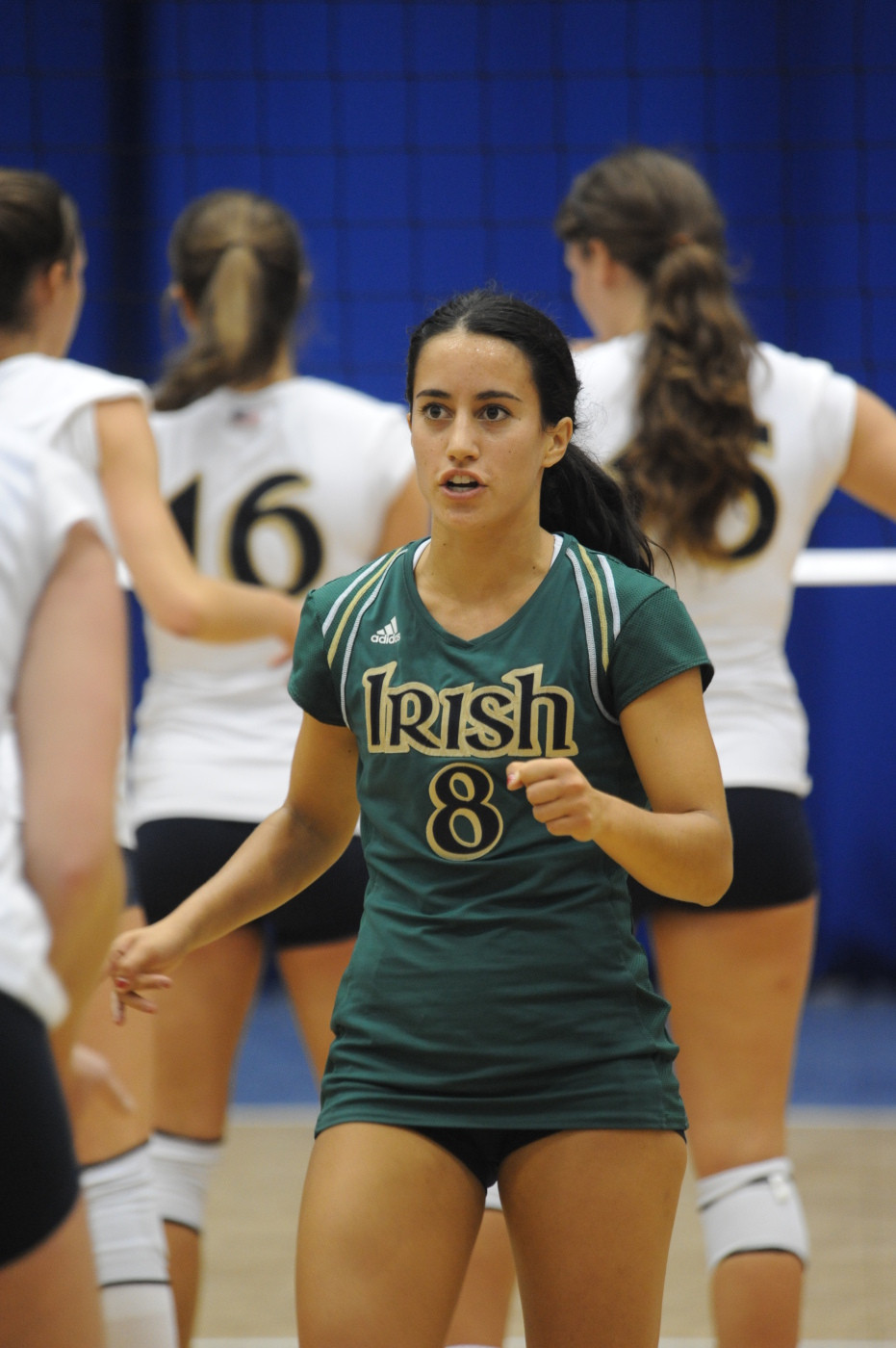 Phillips, Silva Help Irish Shoot Down Xavier Sophomore Frenchy Silva had a career night Friday with 23 digs against Xavier.