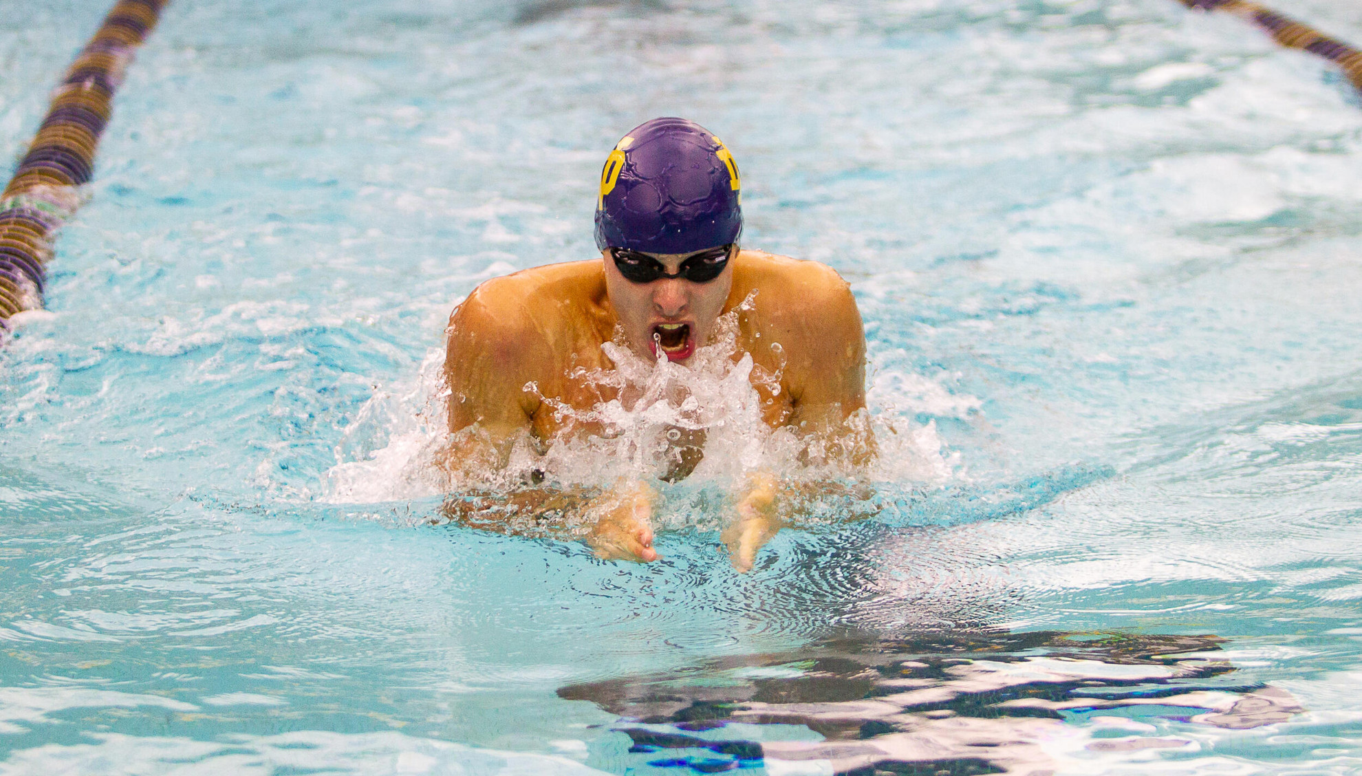 Notre Dame Swim & Dive Announces Signees Notre Dame Swim & Dive Announces Signees