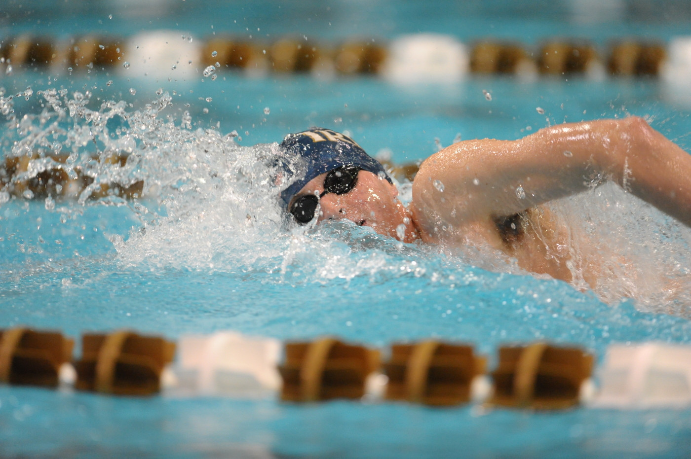 Hoffman And Lytle Double-Team 50 Free Record Two school records fell Thursday as the Irish remained in control of the leaderboard at the BIG EAST Championships.