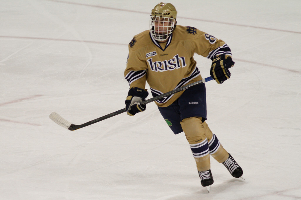 11/4 Hockey vs. Western Michigan