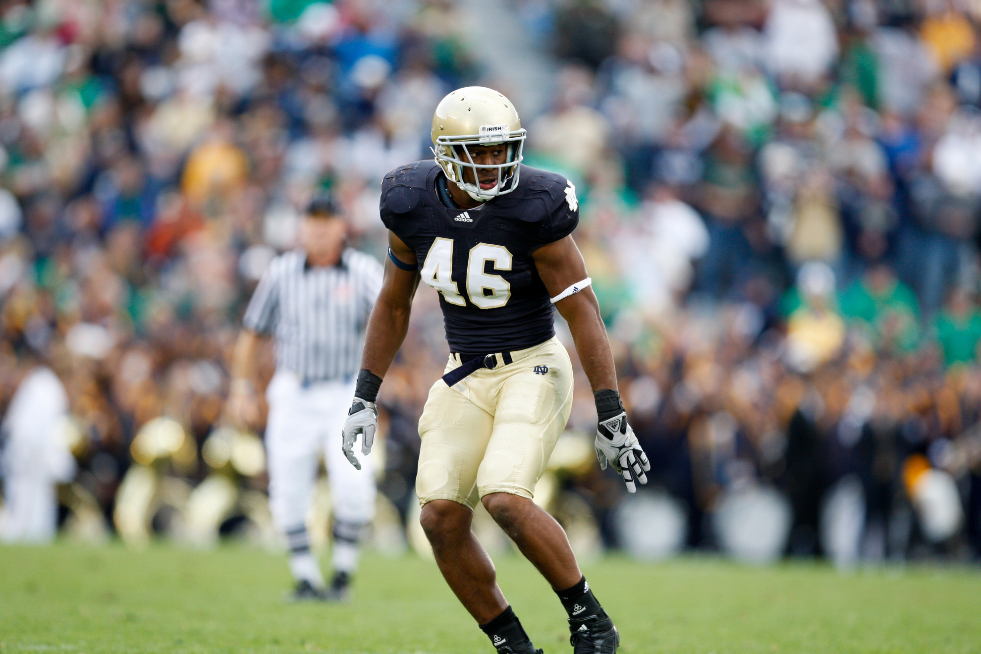 Making an Impact Steve Filer has played in 42 of Notre Dame's 44 games since the start of the 2008 season, predominantly on special teams. He has registered 36 career tackles, including 2.5 for loss and 1.5 sacks.