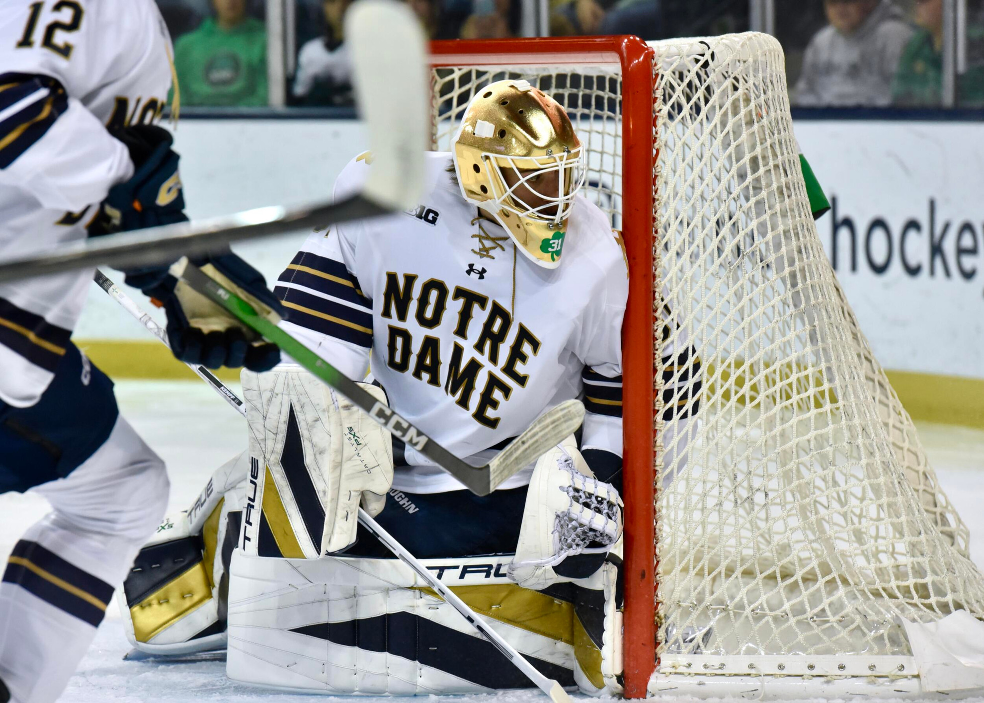 Irish to Face-Off Against Falcons in Final Non-Conference Series of Season Irish to Face-Off Against Falcons in Final Non-Conference Series of Season