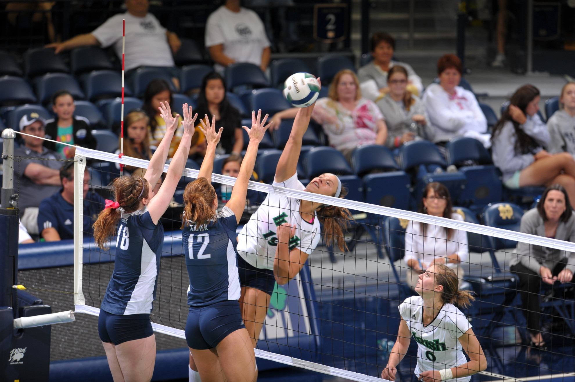 Alugbue, Houser Earn Honorable Mention All-America Honors Sophomore Jeni Houser