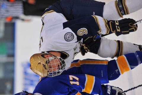 Irish freshman left wing Anders Lee is the Hockey Commissioners' Association (HCA) rookie of the month for December.