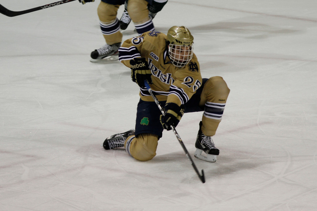 Hockey vs. Michigan State