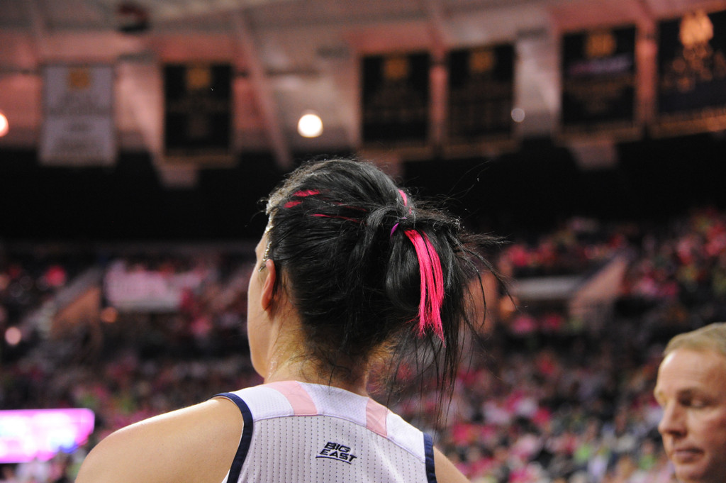 Notre Dame Pink Zone 2014