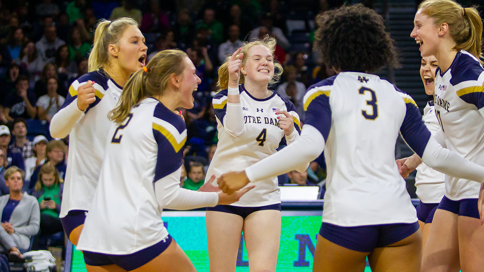 Irish Sweep Seminoles Irish Sweep Seminoles