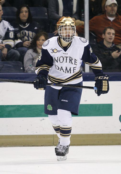Freshman center Vince Hinostroza was selected to the 2013-14 Hockey East all-rookie team.