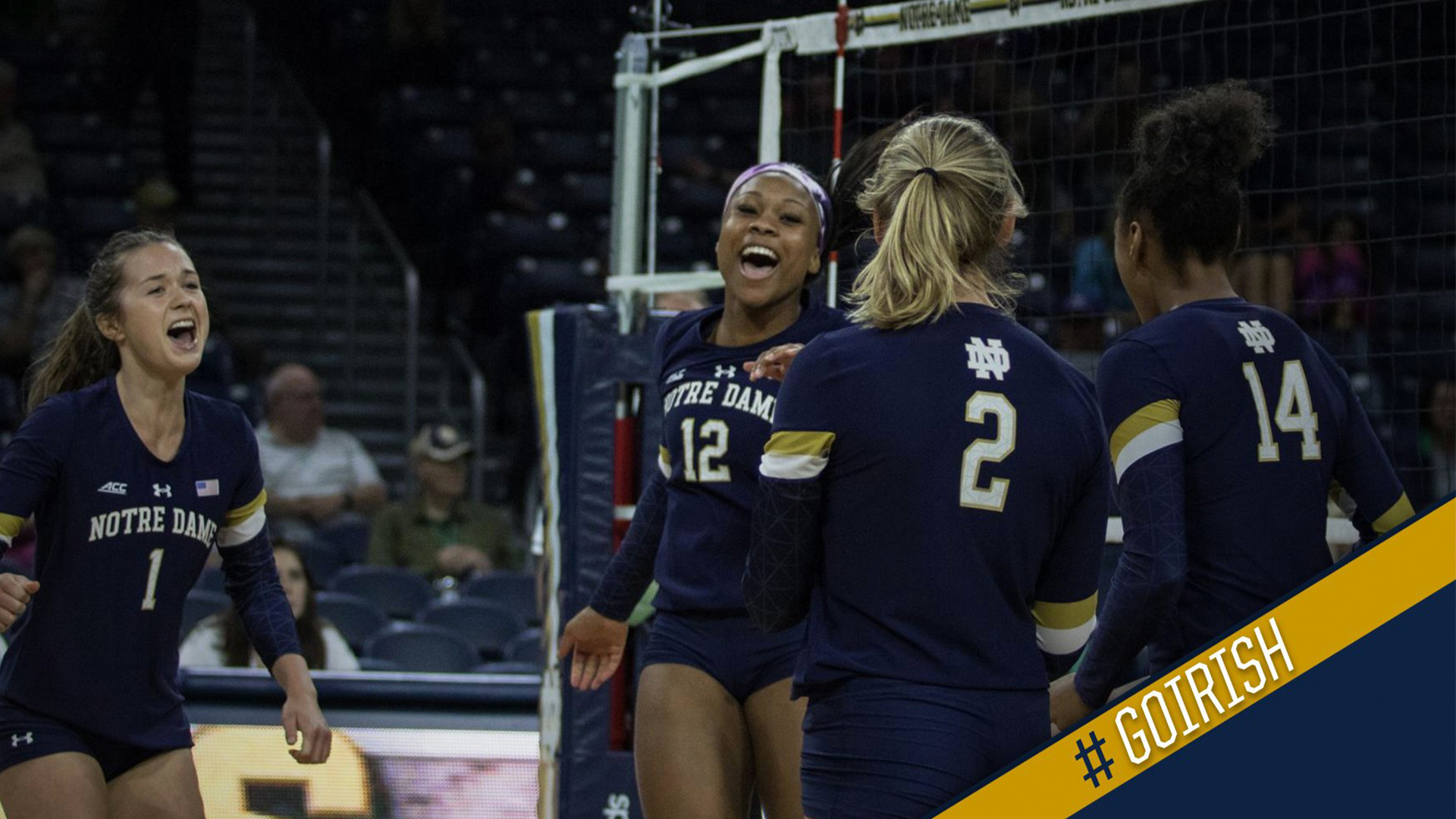 Irish Defeat Weber State 3-0 To Begin 2018 Season weberstatewin