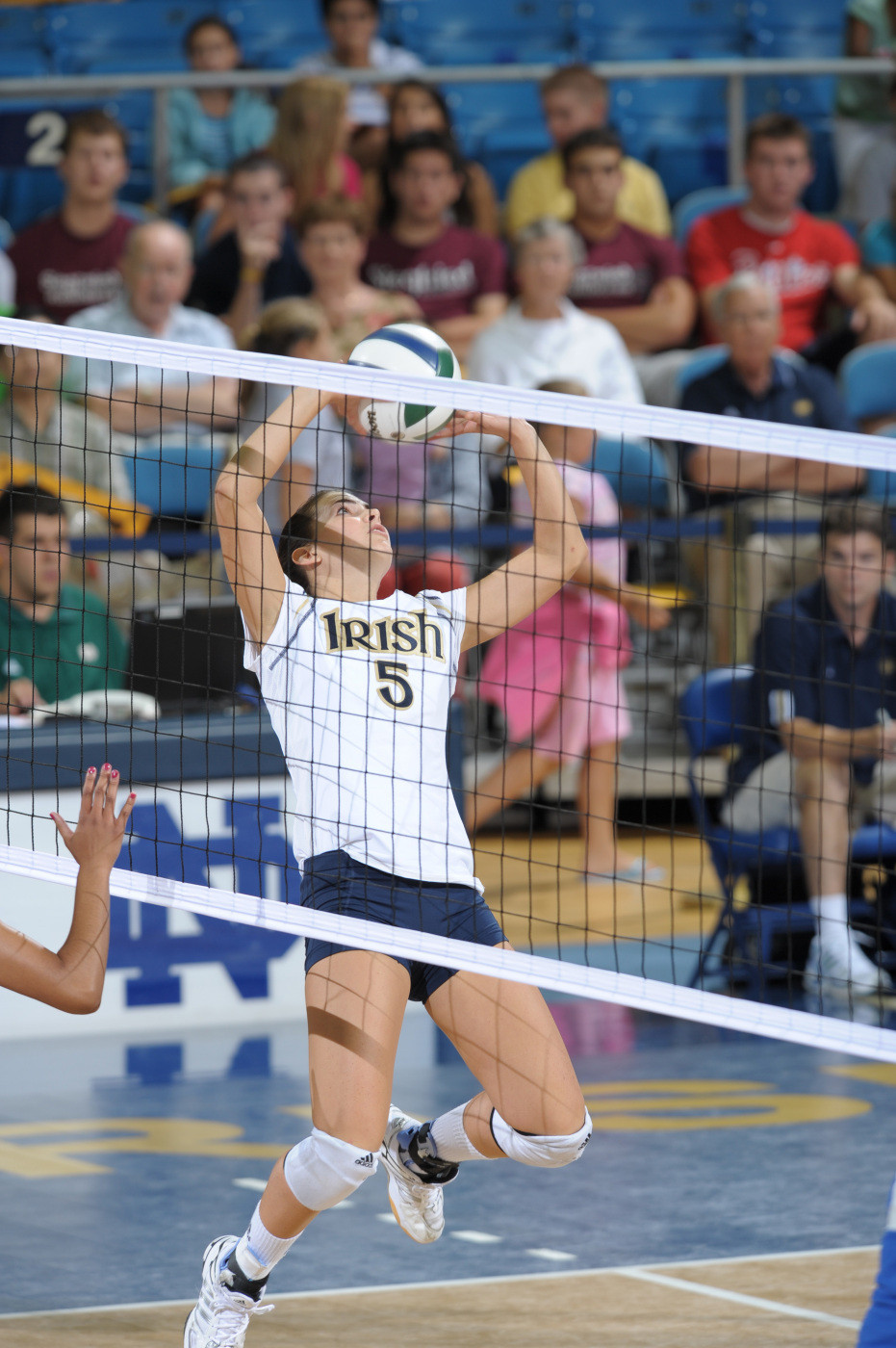 Dig For The Cure Match With Pittsburgh Highlights Weekend For Fighting Irish The second annual Dig for the Cure is set for Sunday versus Pittsburgh.