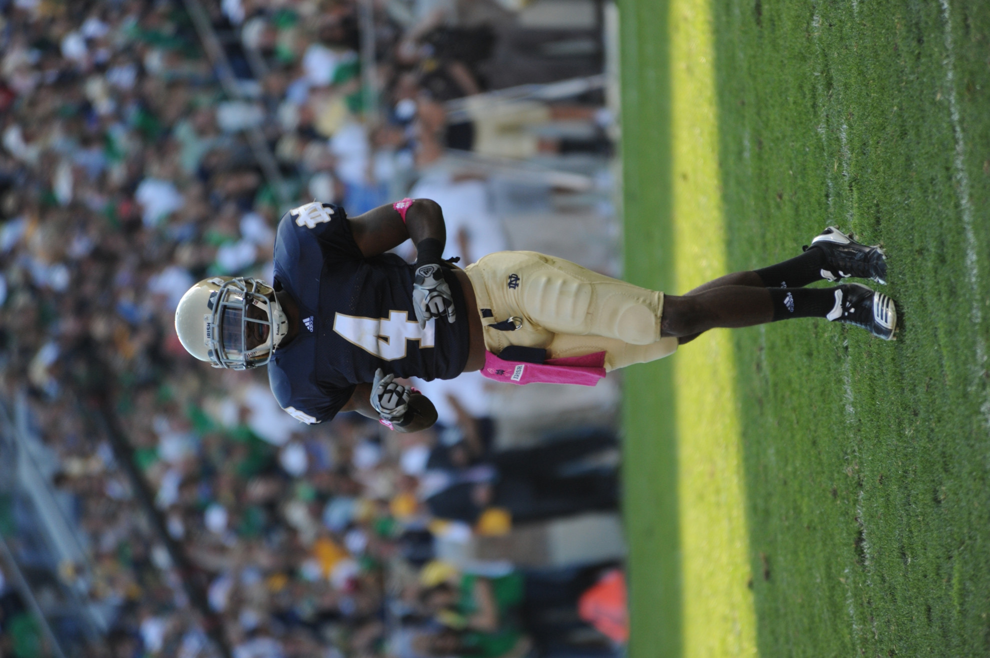 Gray Matters Notre Dame Pittsburgh