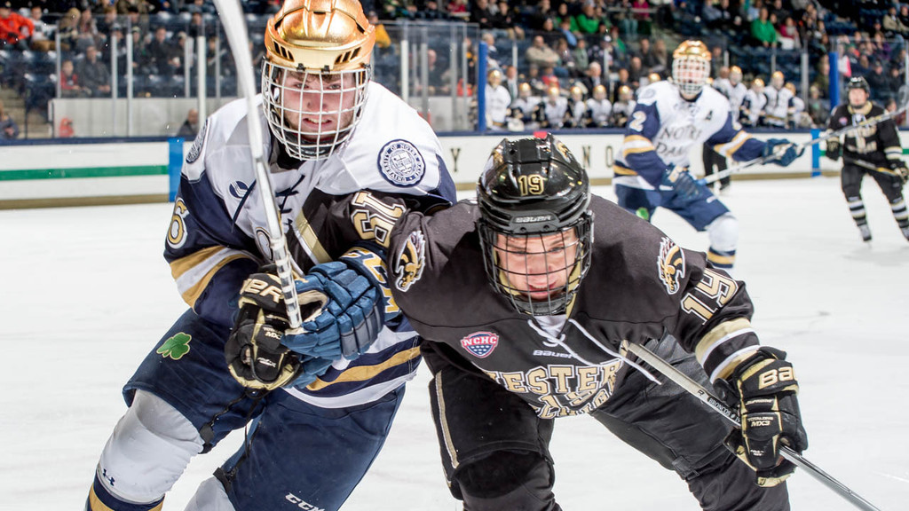 Irish Hockey vs. Western Michigan (1/8/15)