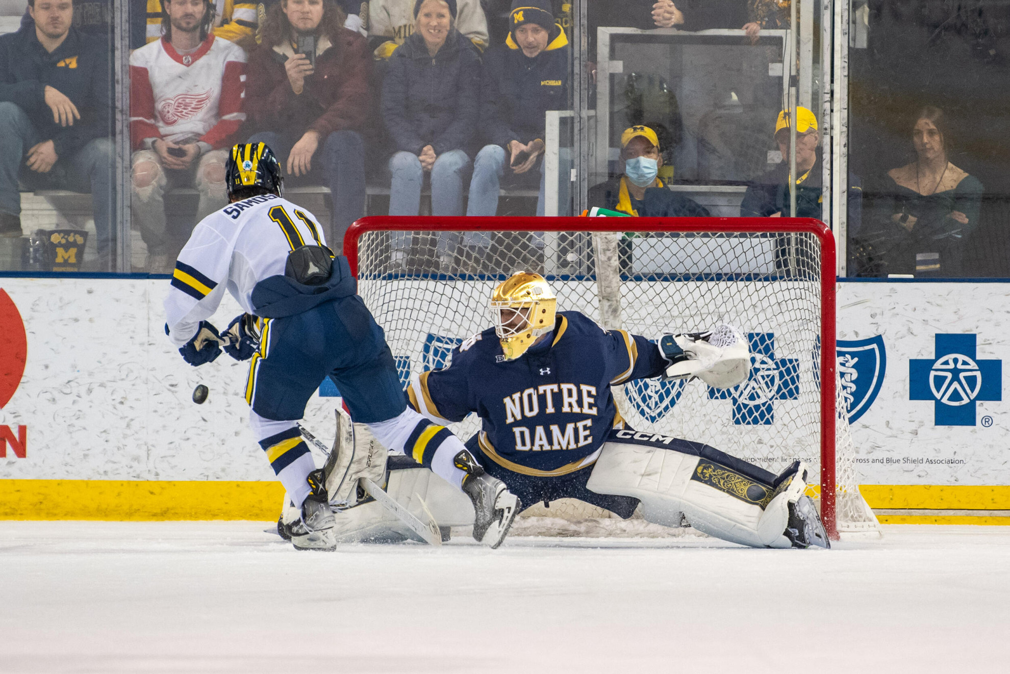 Bischel Named Finalist For Postseason Awards Bischel Named Finalist For Postseason Awards
