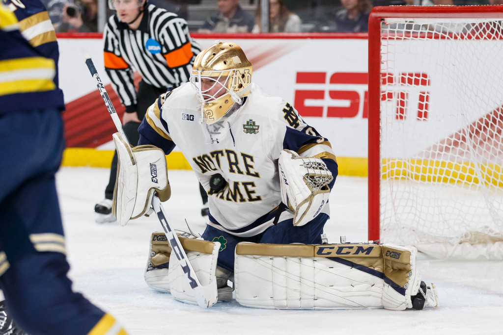 Notre Dame vs. Michigan (USATSI)