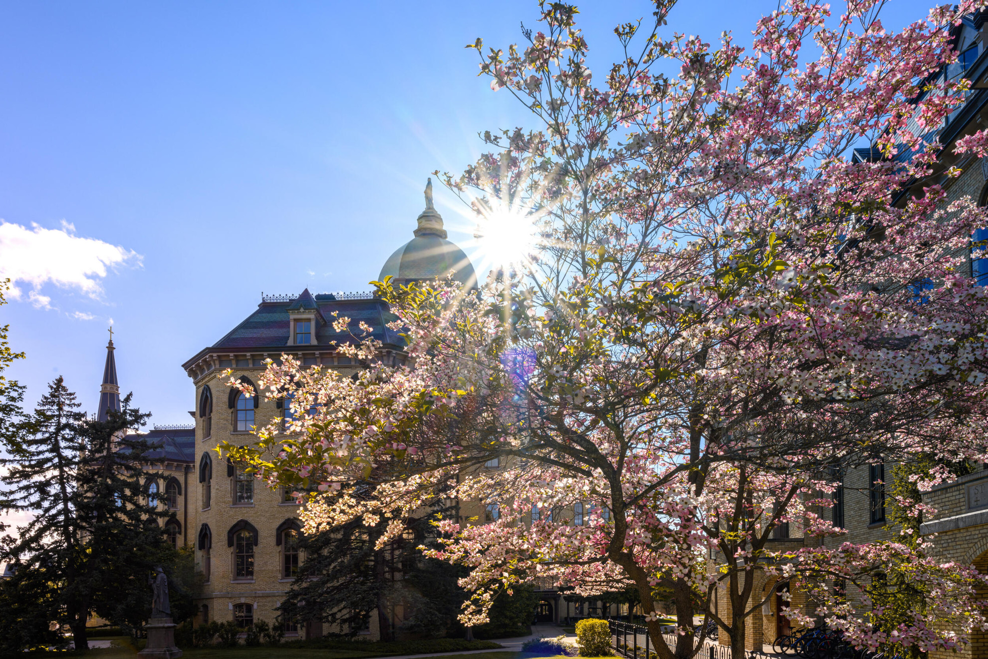 Notre Dame Posts 17 Perfect NCAA APR Scores To Lead The Nation Notre Dame Posts 17 Perfect NCAA APR Scores To Lead The Nation