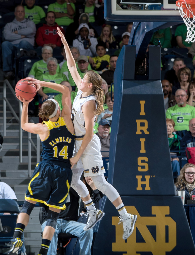 Notre Dame vs. Michigan (USATSI)