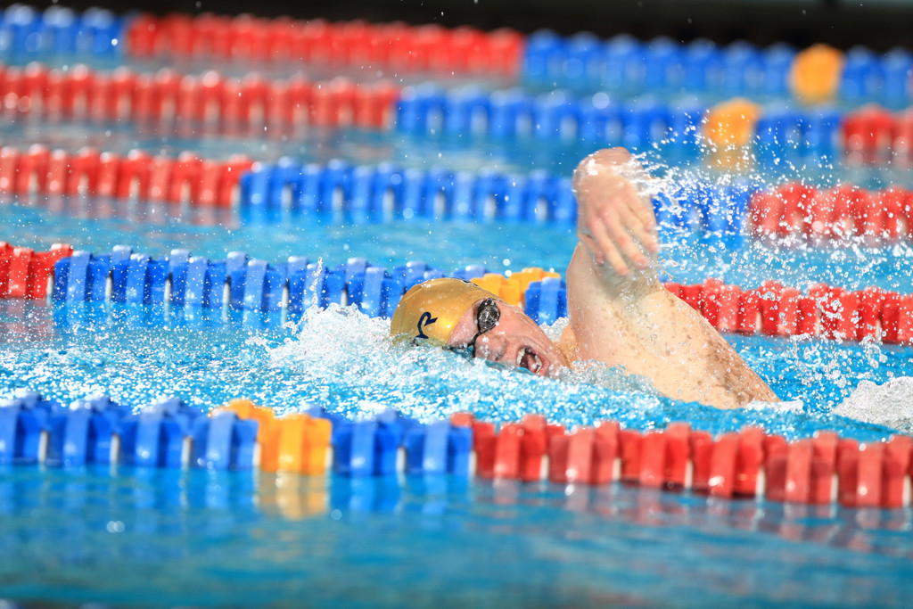 Men's NCAA Swimming Championship