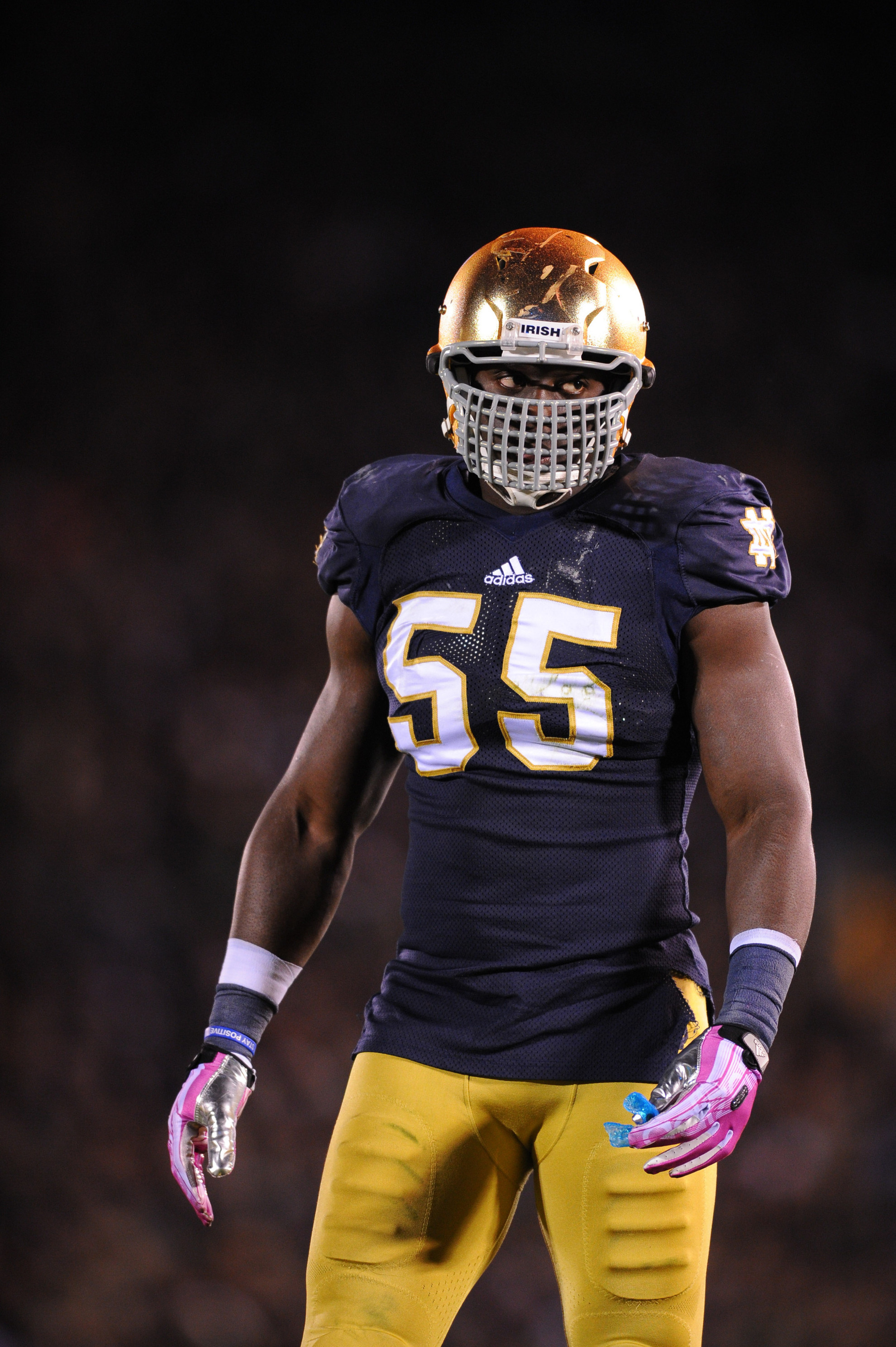 A Prince for His Family Notre Dame Senior LB Prince Shembo