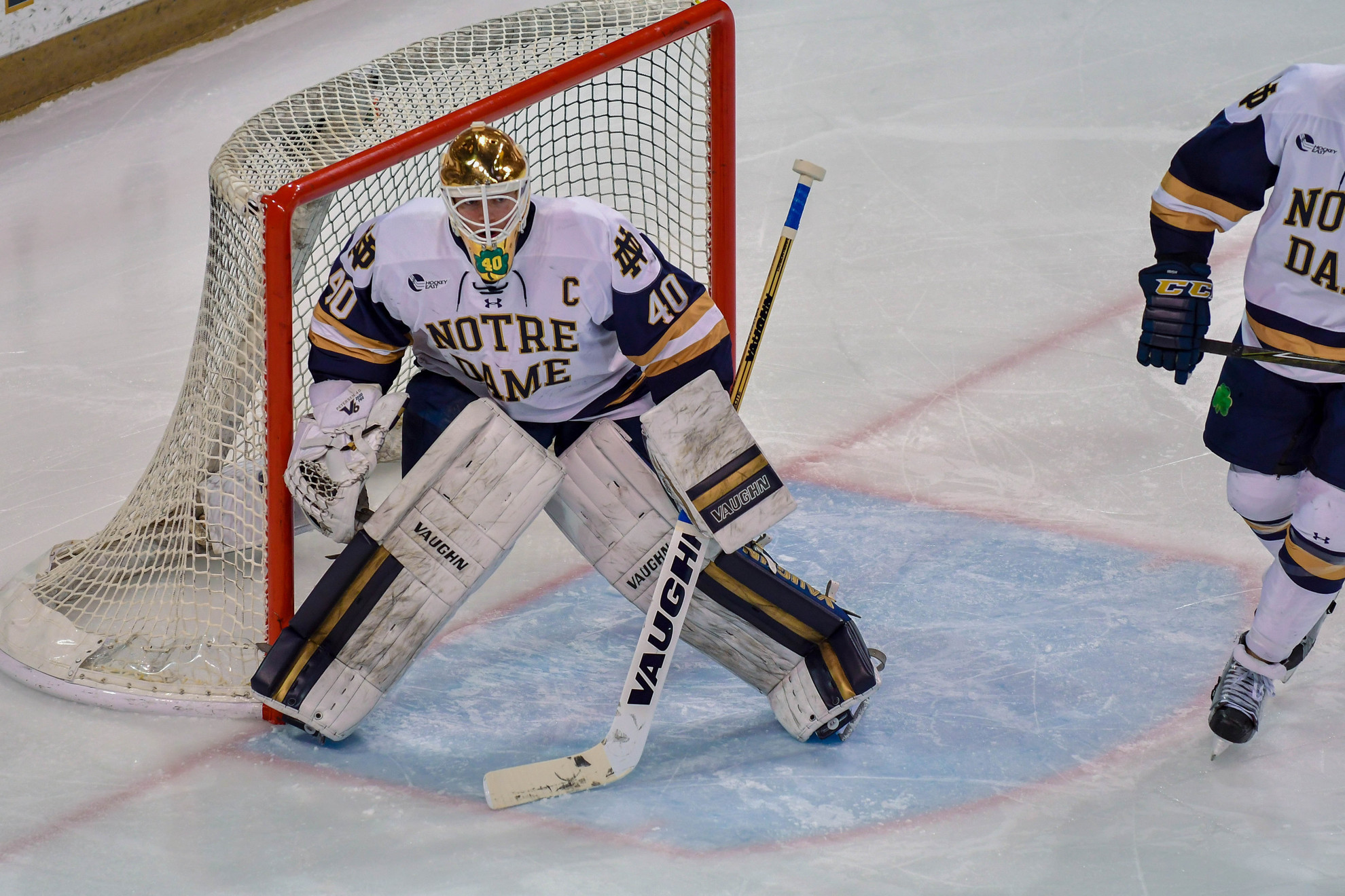 Petersen Backstops Irish To Boston Petersen Backstops Irish To Boston